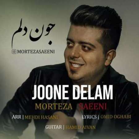 Morteza Saeeni – Joone Delam